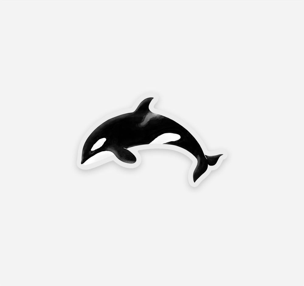 Clear vinyl ocean inspired sticker of an orca whale, also known as a killer whale