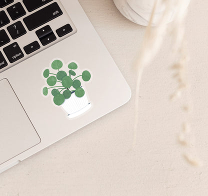 Chinese money plant laptop sticker, which is also known as pilea peperomioides