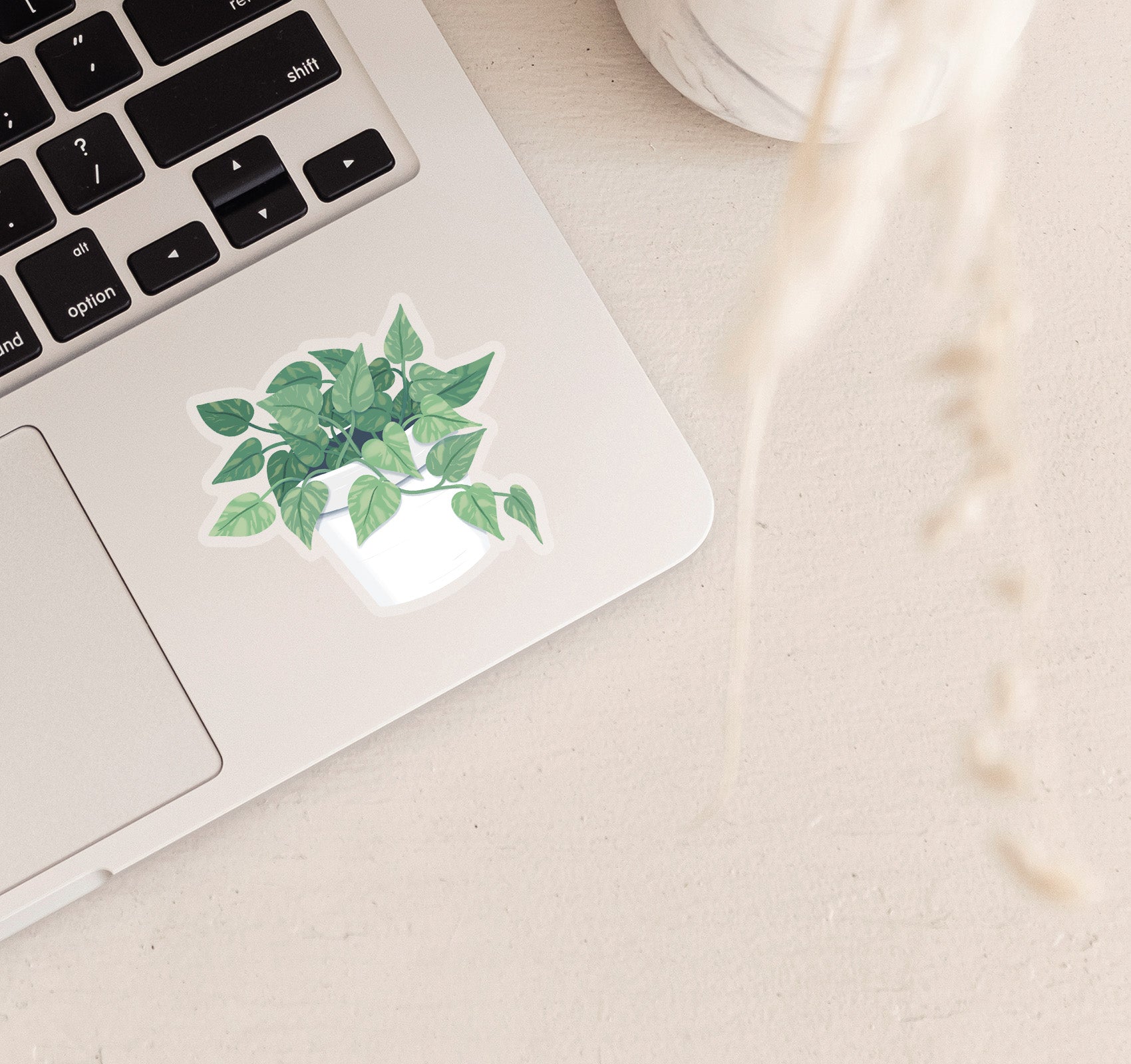 Marble Queen pothos plant laptop sticker