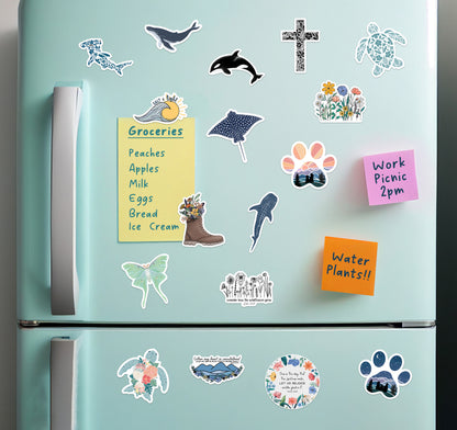 A mint green refrigerator covered with colorful magnets, including whales, sea turtles, sharks, floral, and paw-print designs.