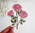 Pink roses June birth month flower sticker