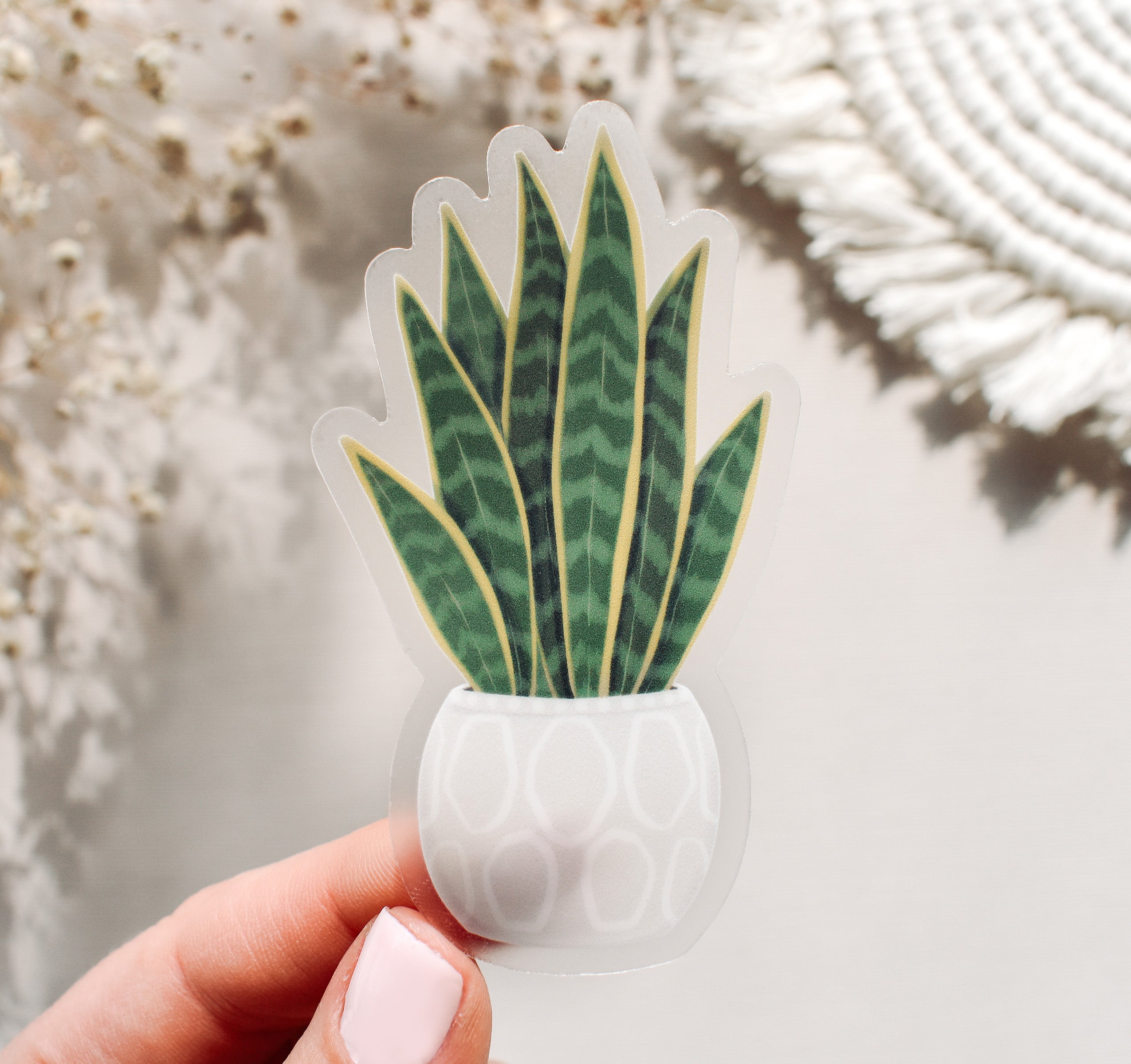 snake plant sticker Snake Plant Clear Vinyl Sticker – Wild Peonies Studio