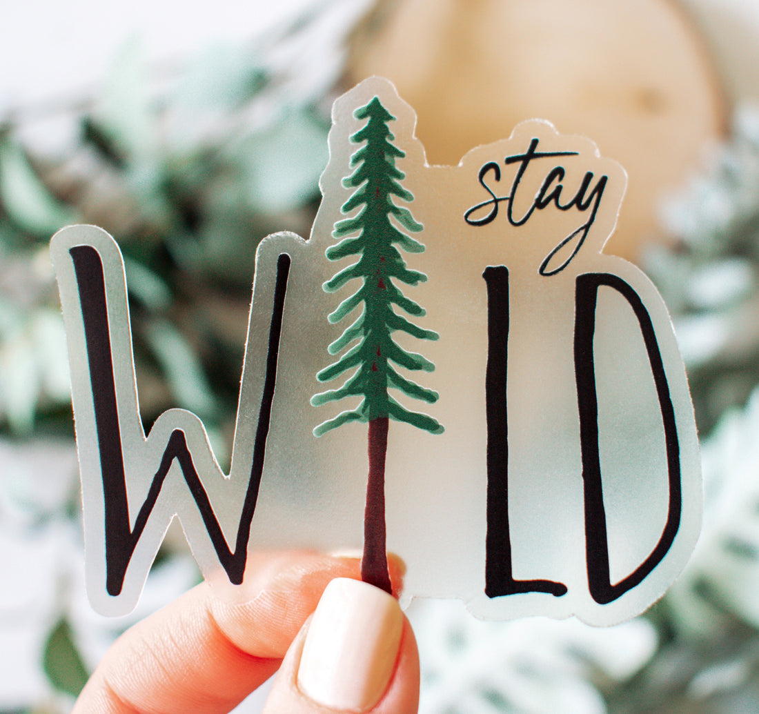 Stay Wild hiking sticker with a pine tree and black text on clear vinyl