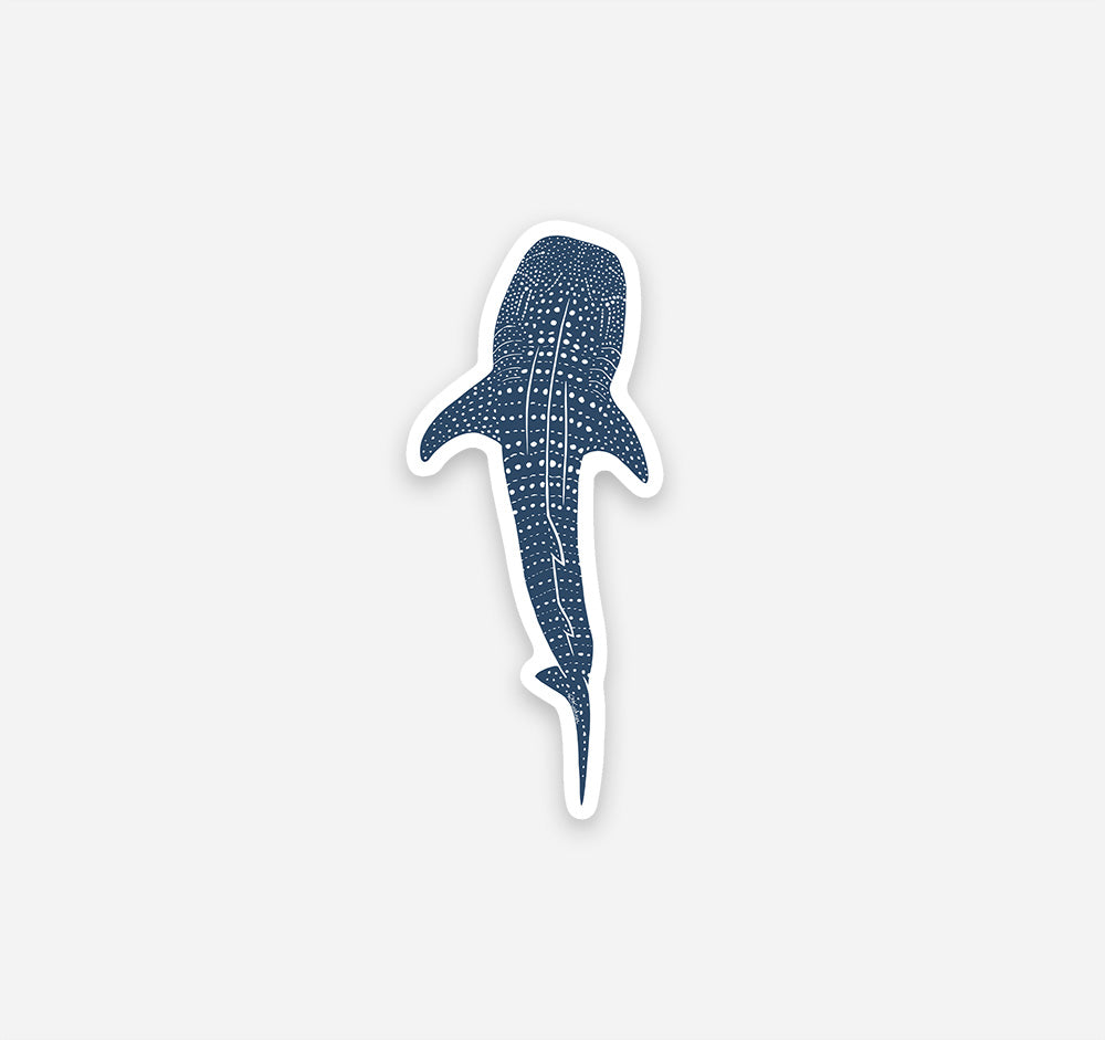 Whale shark magnet