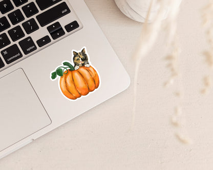Calico Cat on a Pumpkin Vinyl Sticker